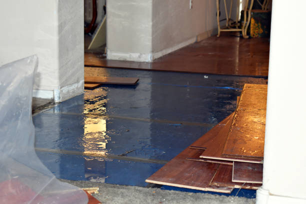 Professional Emergency Water Damage Restoration technician working in Luther, MI
